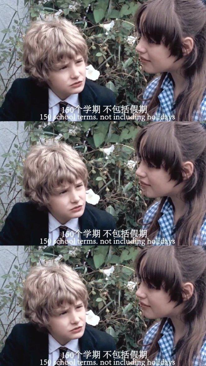 拯救穆尔小马
